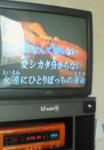 ひとりぼっちの運命