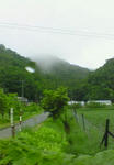 雨降りでした
