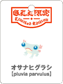 オサナヒグラシ