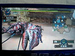 VS　ダイミョウザザミ