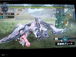オオナズチを撃破!!