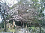 縮景園内