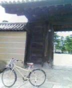 070811_1301~01.jpg