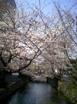 080329_145839.JPG