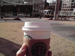 11-02-26_001.jpg