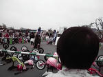 12-04-30_005.jpg