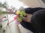 P1000055.JPG