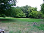 IMGP6017.JPG