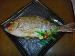 IMGP6337.JPG