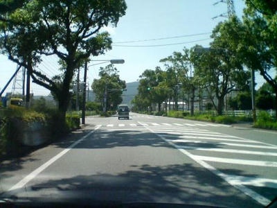 SN340044.JPG