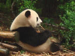 DSC01325.JPG