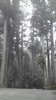 09-06-21_003.jpg