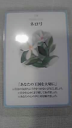 09-07-15_001.jpg