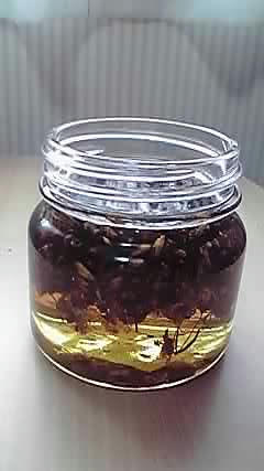 09-07-29_001.jpg