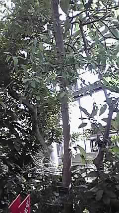 09-09-21_004.jpg