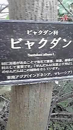 09-09-21_005.jpg