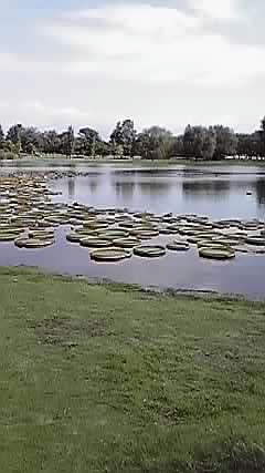 09-09-21_007.jpg