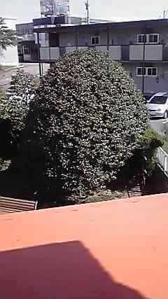 09-09-24_001.jpg