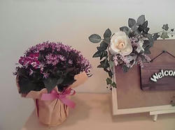10-03-14_001.jpg