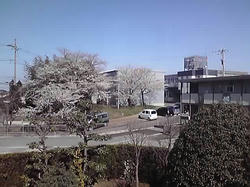 10-04-08_001.jpg