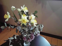 10-04-10_004.jpg