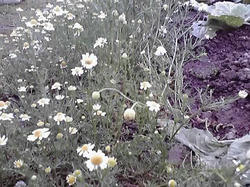 10-05-20_004.jpg