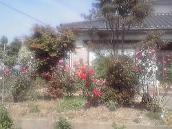 10-06-06_001.jpg