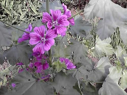 10-06-21_002.jpg