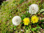 IMG_0805.2.jpg