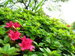 IMG_0827.JPG