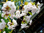 IMG_0749.2.jpg