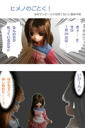 himeno-no-gotoku.jpg