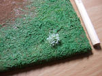 植えてみた