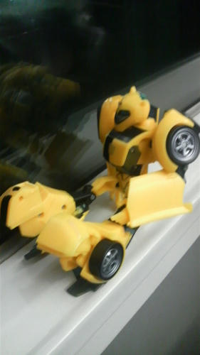 P1000297.JPG