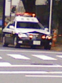 F1000541.JPG