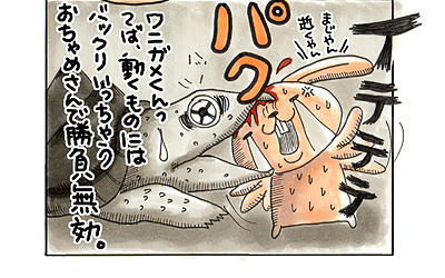 usakame03.jpg