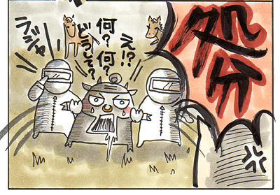 kouteiwarabi04.jpg