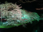 DSC05348.JPG