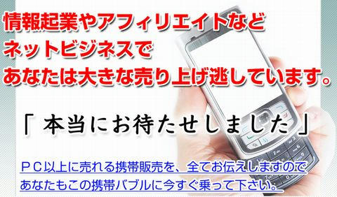 keitaibijinesu.jpg