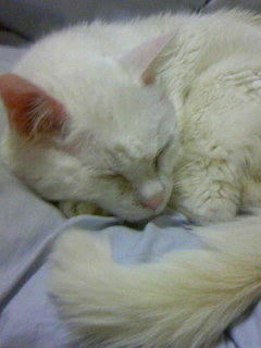 mon034_070203.jpg