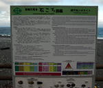 M1.jpg