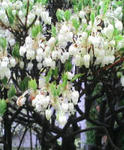 5499b346.jpg