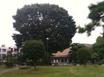 a392e44e.jpg