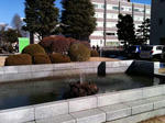 cf24e3d8.JPG