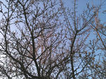 a621086e.JPG