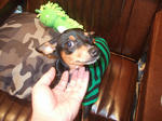 DSCF2547.jpg