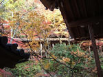 DSCF2740.jpg