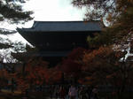 DSCF2754.jpg