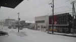 100205_095551.jpg
