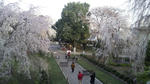 100330_162541.jpg